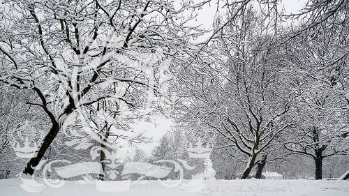 Barnsbury N1 domestic removals Barnsbury N1 domestic removals