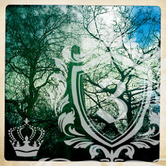 Bloomsbury WC1 domestic removals