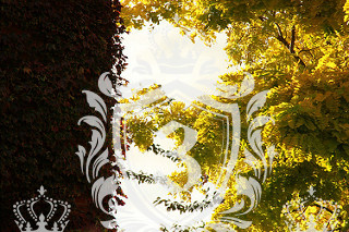 Chelsea SW3 domestic removals Chelsea SW3 domestic removals