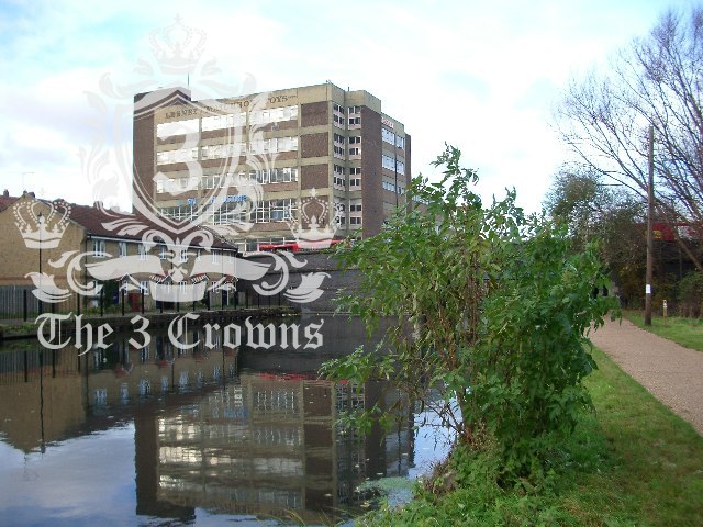 Homerton E9 domestic removals Homerton E9 domestic removals