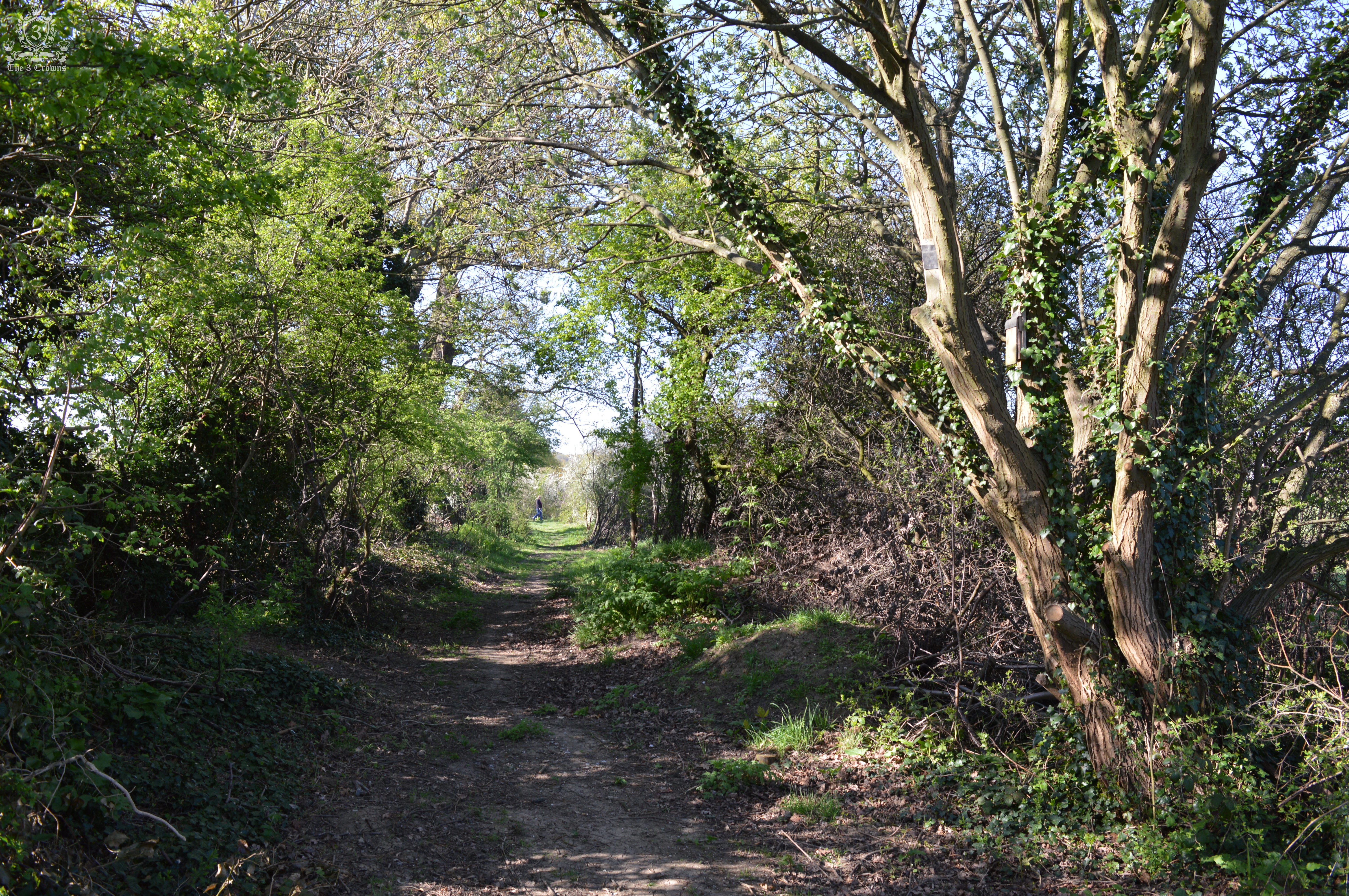 Kingsbury NW9 domestic removals