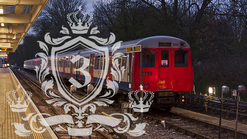 Neasden NW2, NW10 domestic removals