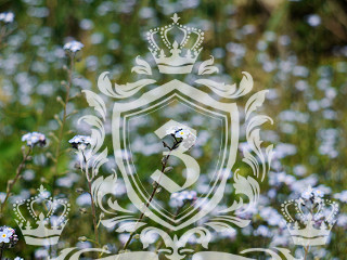 Temple EC4, WC2 domestic removals Temple EC4, WC2 domestic removals