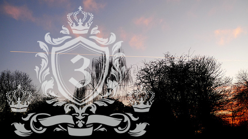 Totteridge N20 domestic removals