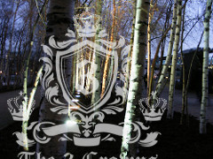 Woodlands TW7 domestic removals Woodlands TW7 domestic removals